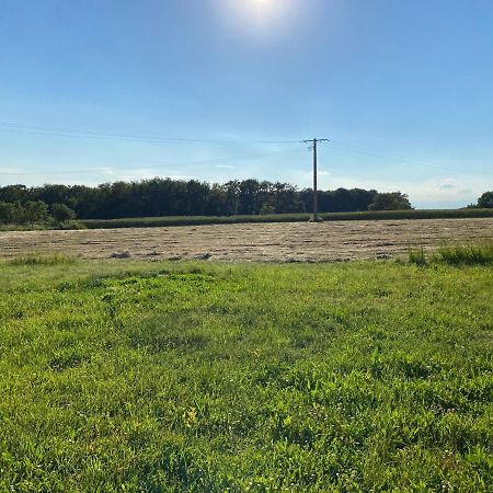 Maison De Campagne Proche Du Zoo De Beauval Nouans-les-Fontaines Kültér fotó